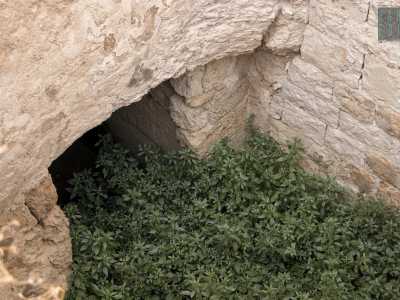 ...anche davanti all�entrata di un ipogeo scavato nel tufo